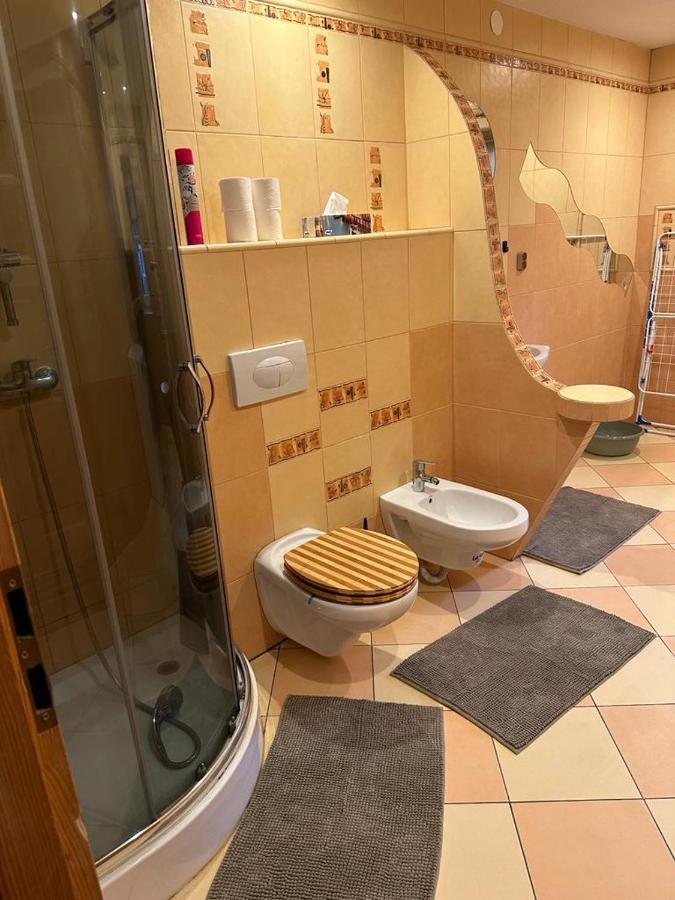 Apartament Agroturystyka Alpaka Konradow Konradow  Zewnętrze zdjęcie