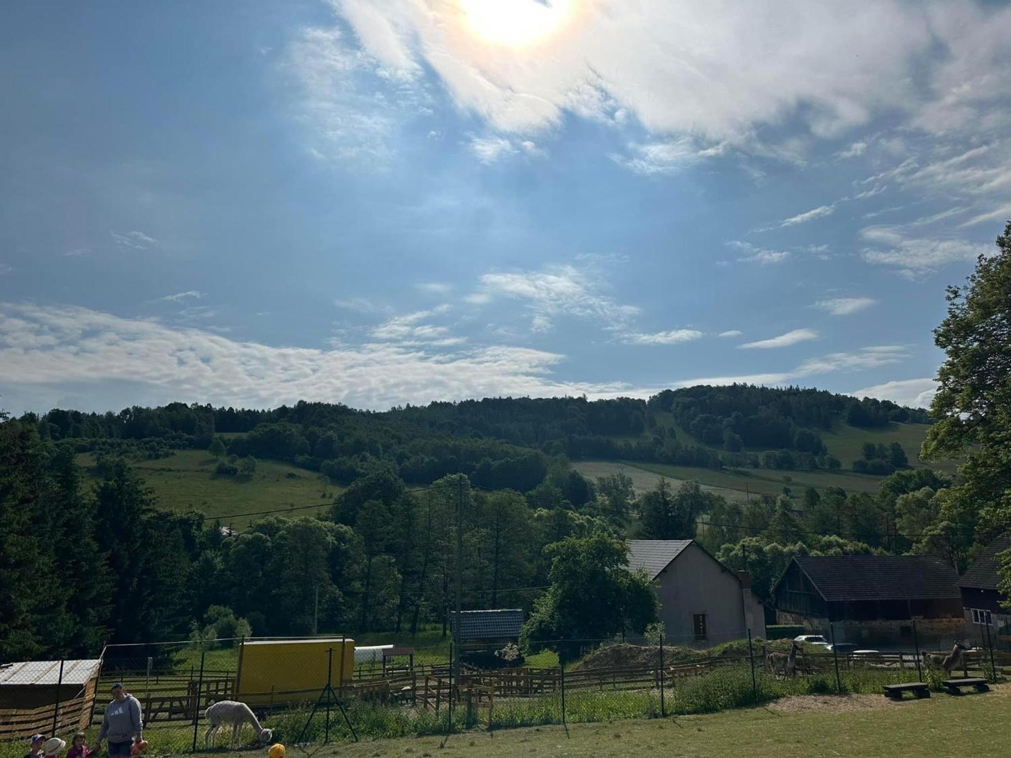 Apartament Agroturystyka Alpaka Konradow Konradow  Zewnętrze zdjęcie