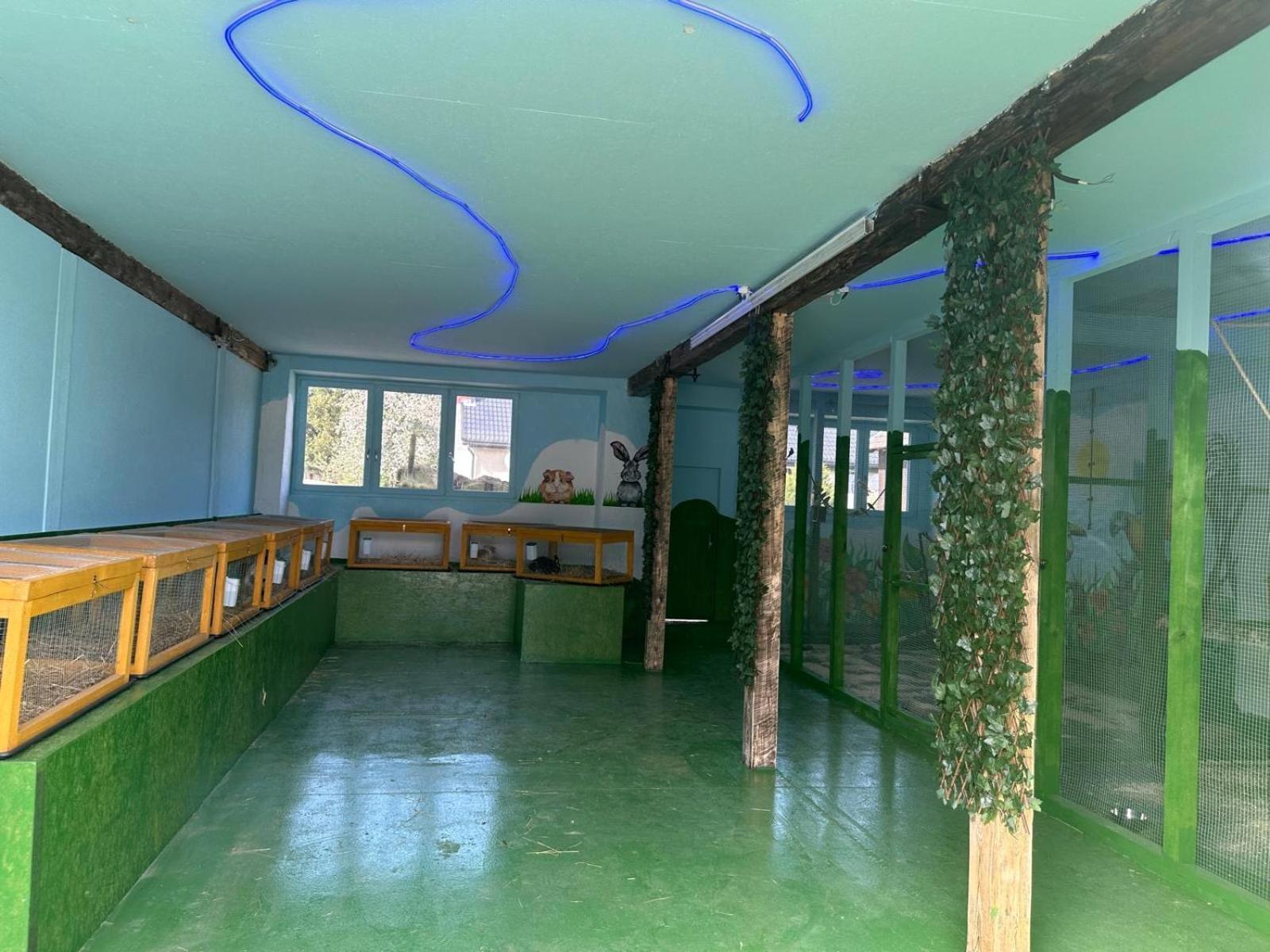 Apartament Agroturystyka Alpaka Konradow Konradow  Zewnętrze zdjęcie