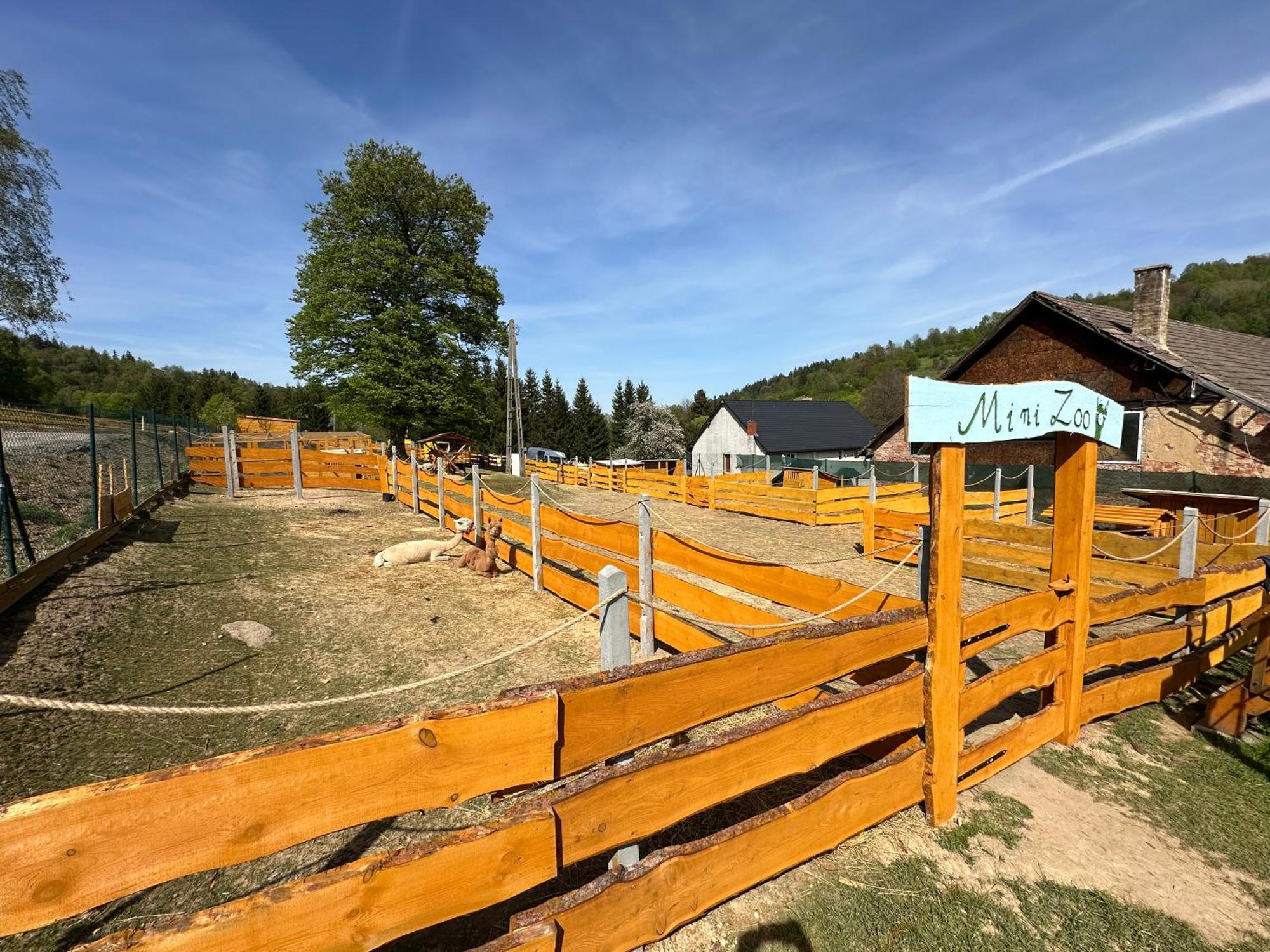 Apartament Agroturystyka Alpaka Konradow Konradow  Zewnętrze zdjęcie